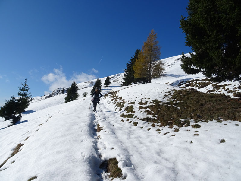prime escursioni sulla neve....autunno  2019
